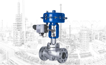 Which data decide control valve price?