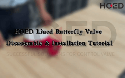 HOED Lined Butterfly Valve Disassemble&Installation Tutorial